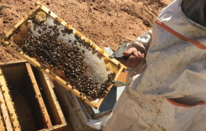 Focus Area Inclusion 9 1 news image 01112019 1