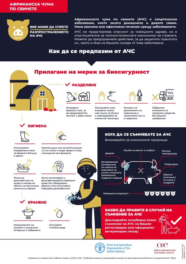 Bulgarian page 0001 1