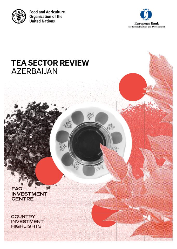 Cover4