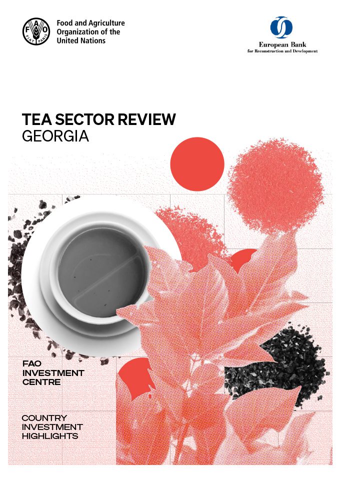 Cover5