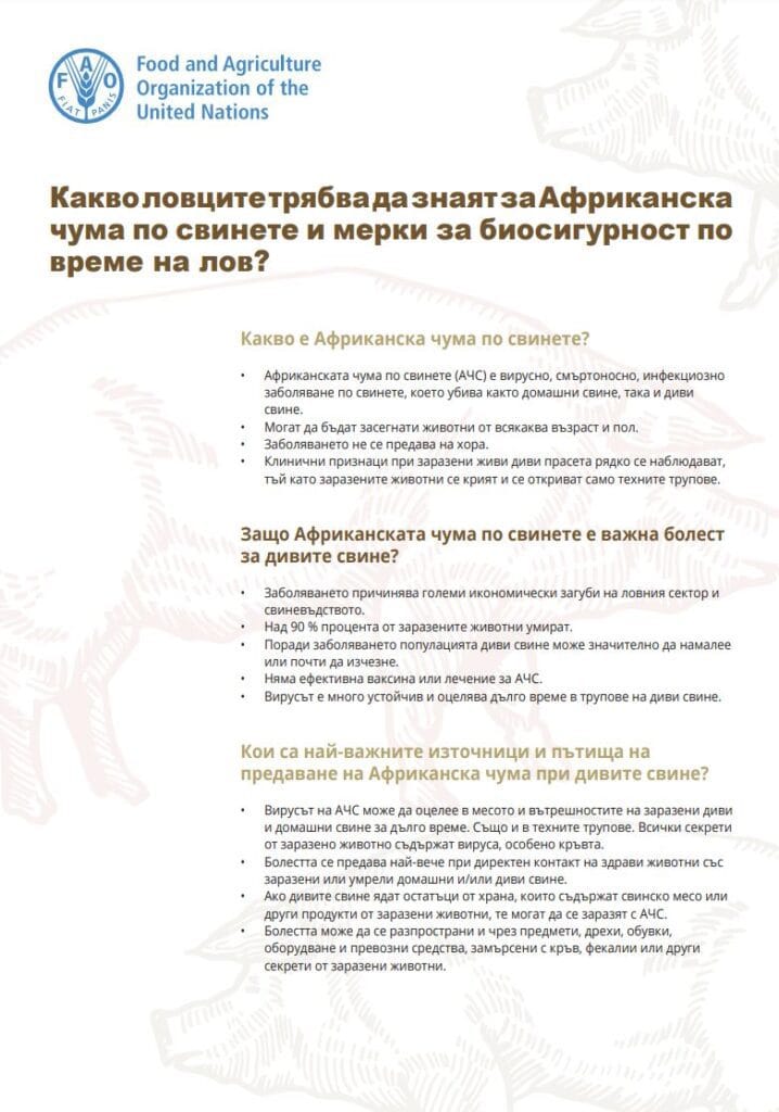 What hunters need to know about African swine fever and biosecurity measures during hunting bulgarian