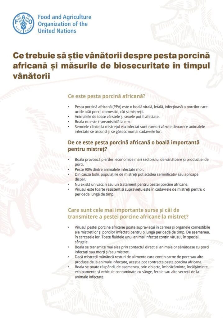 What hunters need to know about African swine fever and biosecurity measures during hunting romanian