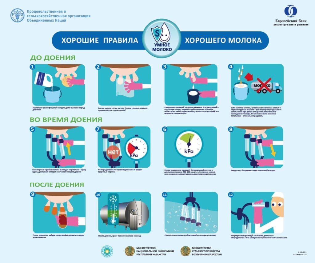 ДО ВО ВРЕМЯ И ПОСЛЕ ДОЕНИЯ
