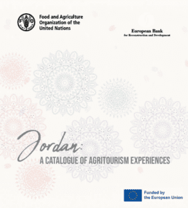 Captura de pantalla 2025 02 03 143903