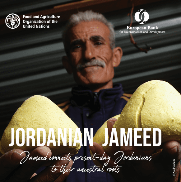 Jordanian Jameed