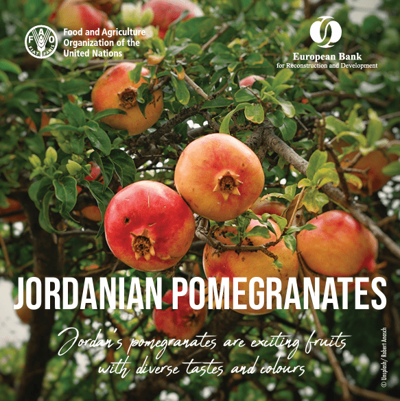 Jordanian pomegranates