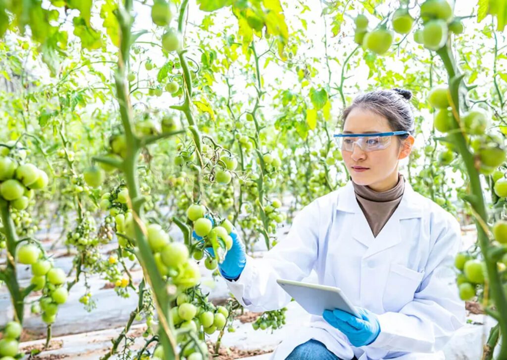 BridgingDigitalDivide 1 1