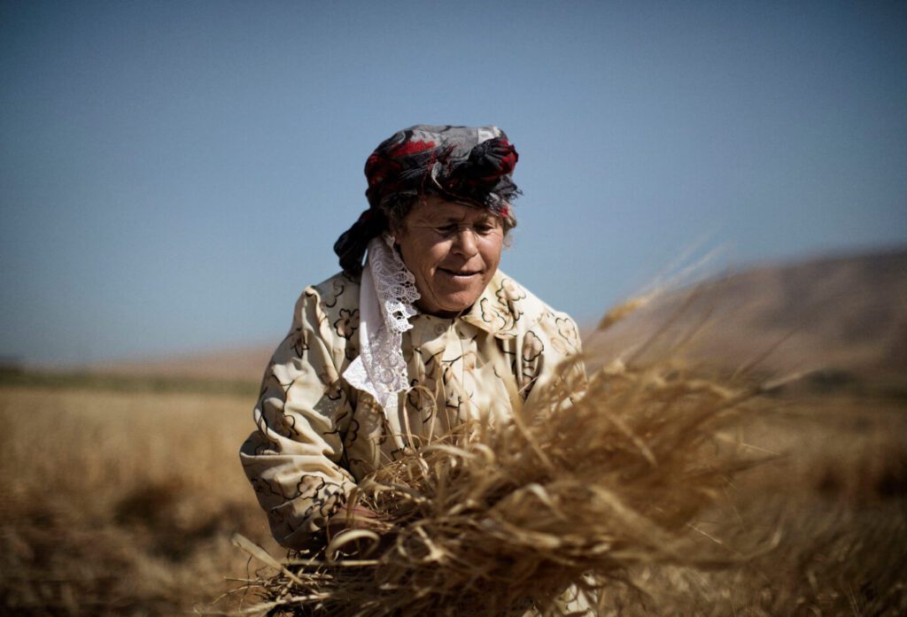 EBRD / FAO Cooperation timeline 20 UF11ZQG 00075989 1 1