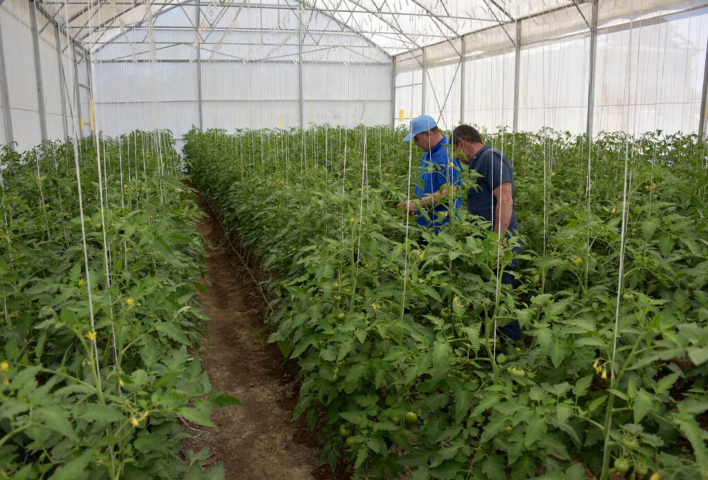 UF13JVG 00165746 1 1