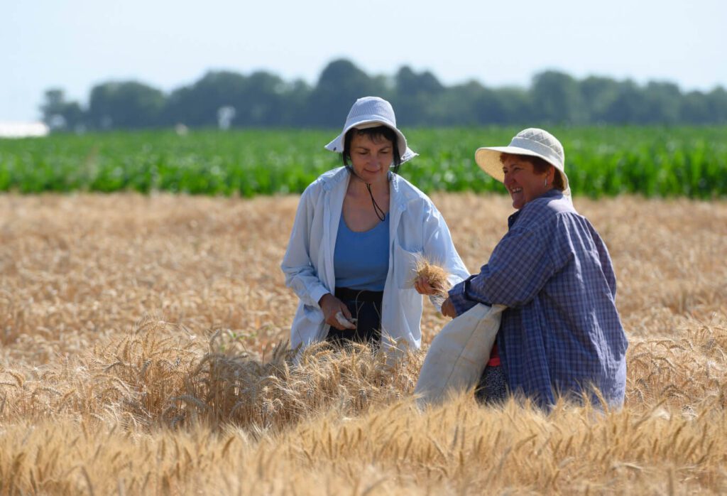 UF14AV5 00268392 1 1