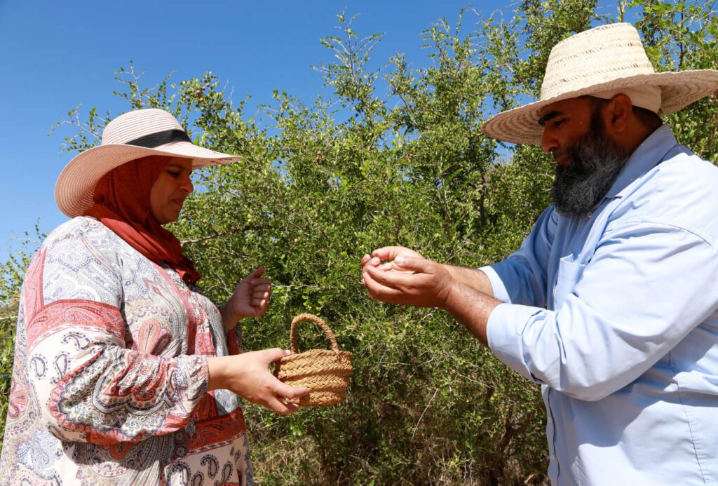 UF14MLI 00283908 1 1