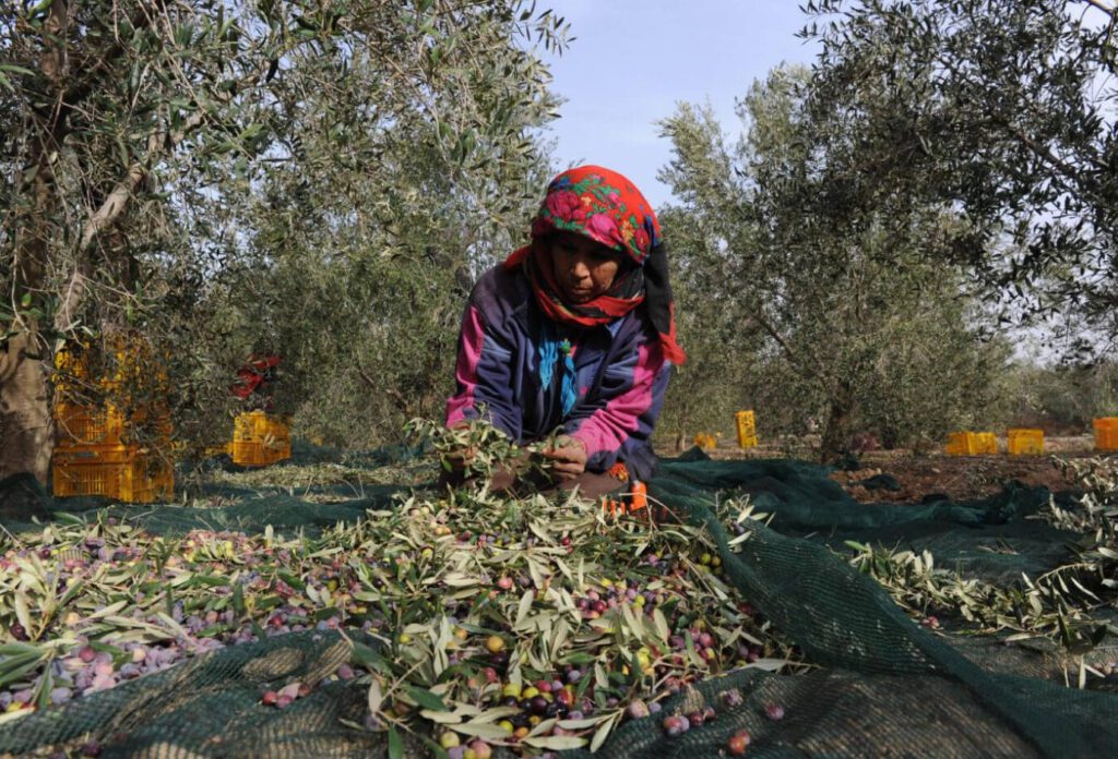 c1a4bb98724f3ee4c437969101625125 1 1