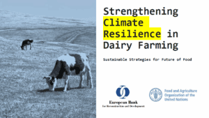 4 New service by the Board