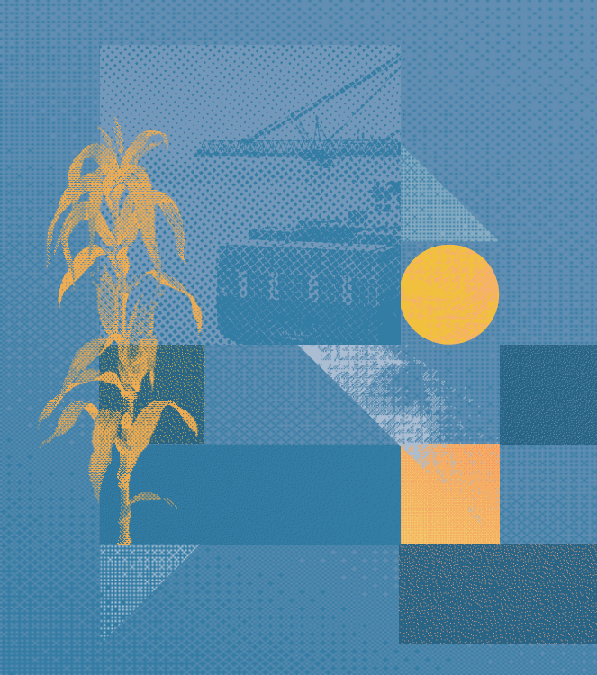 Home 11 Ephyto article image