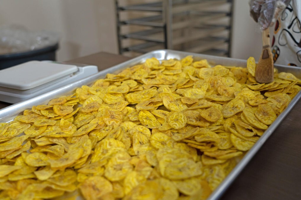 Project page image Credit Natalija Gormalova