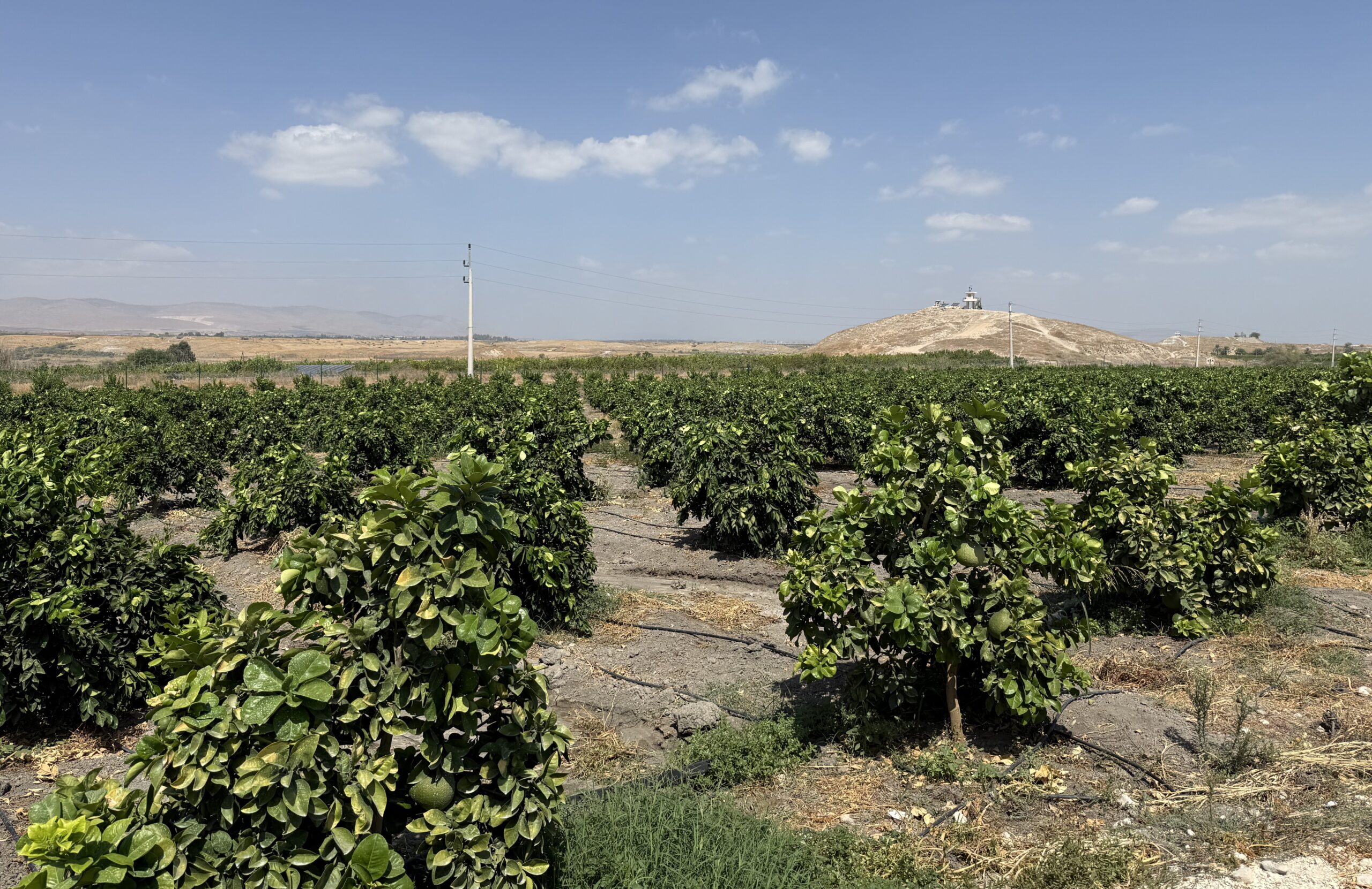 Home 8 QA Jawad smartwater image scaled