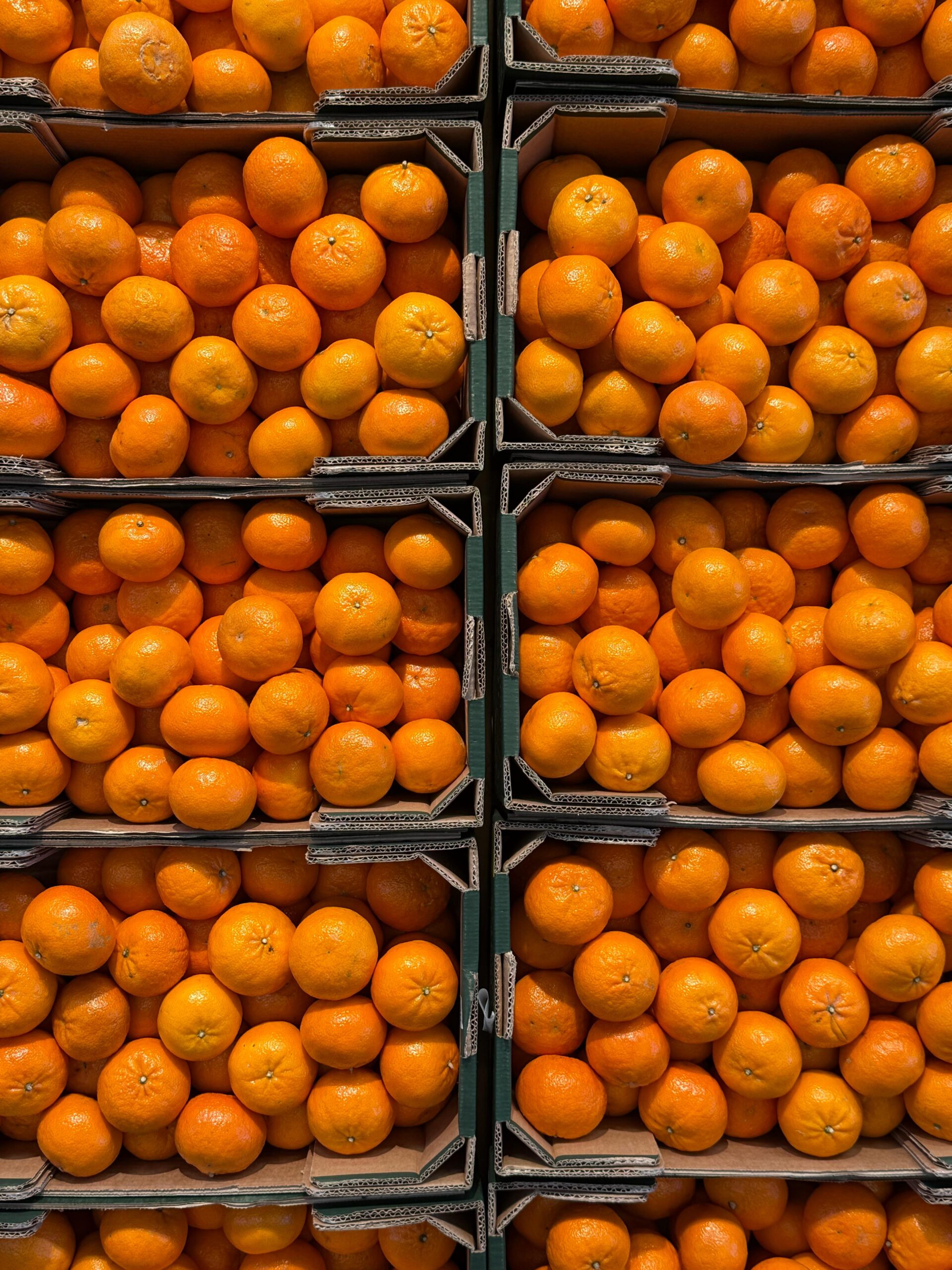 PHOTO Fruit scaled